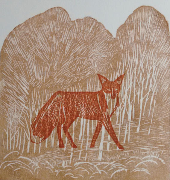 Print Red fox in forest
