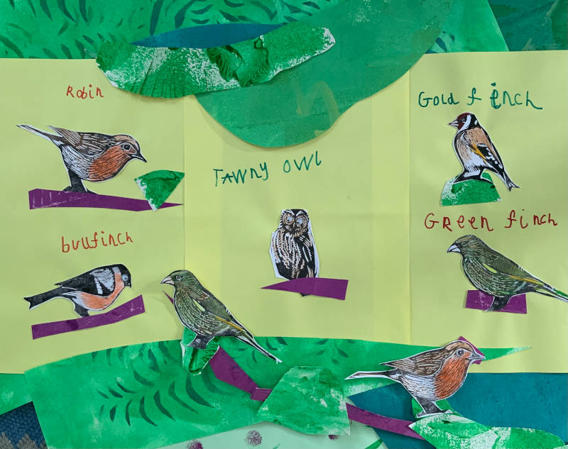 Robin Owl Finches made by kids