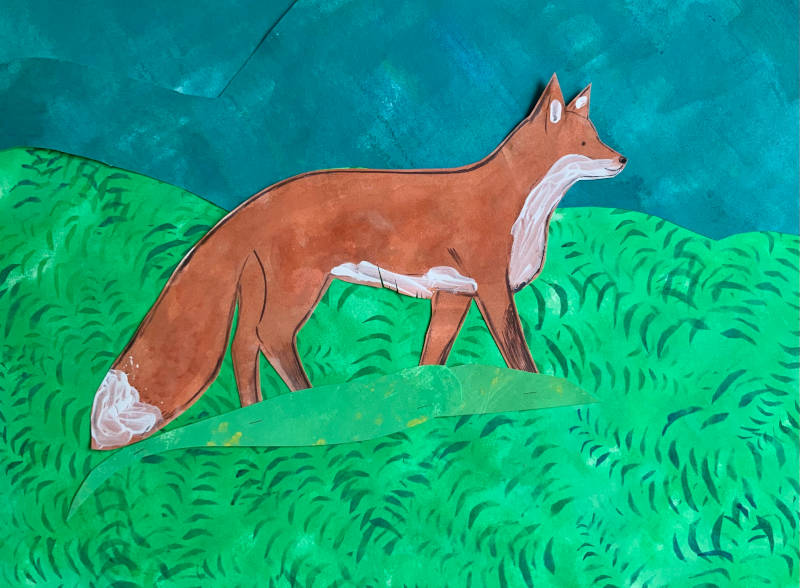 Fox walking through gras