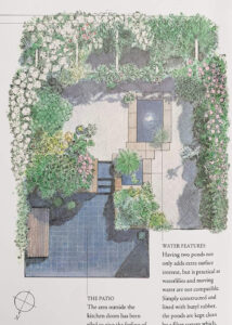 Book illustration Blue garden feature