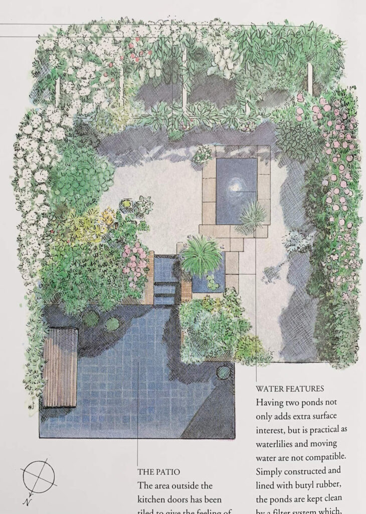 Book illustration Blue garden feature