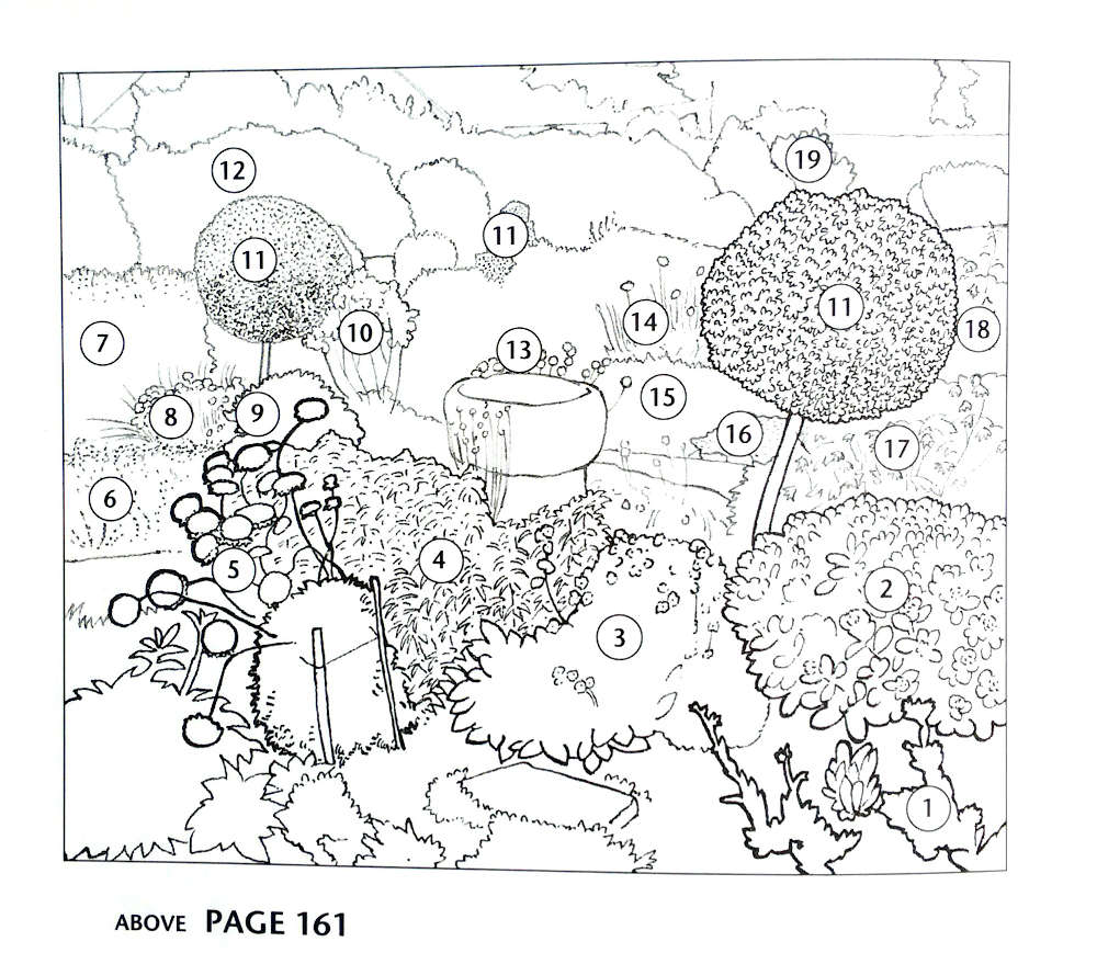 Book illustration Designing a garden instructions
