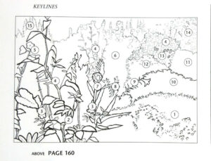 Book illustration Instructions to designing a garden