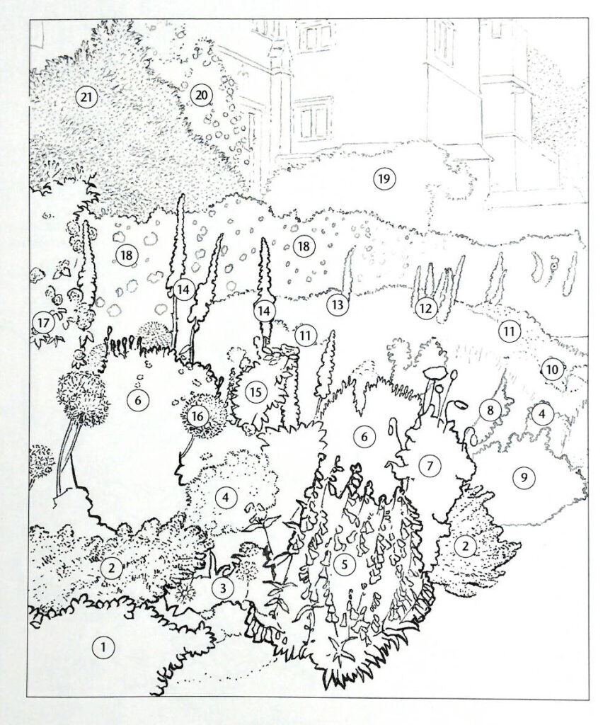 Book illustration for keylines of plantings