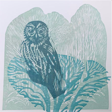 Joanna Logan, Owl on Blue