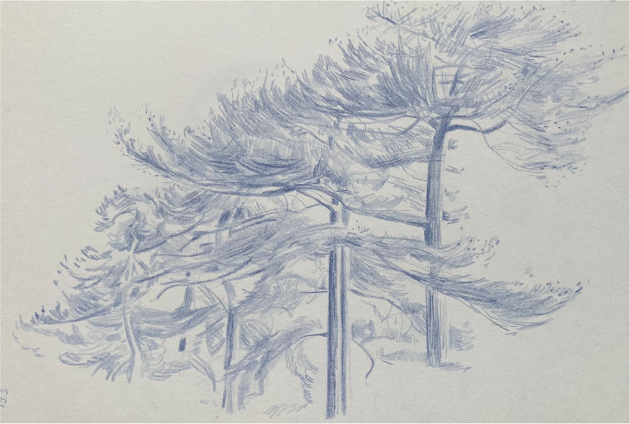 Artist Joanna Logan Trees